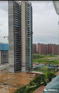 鸿阜园最新爆料新闻视频,揭秘神秘项目背后的惊人真相！  第2张