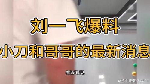 刘一飞最新爆料,揭秘娱乐圈惊人内幕  第3张