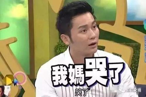 李晨早期爆料视频大全集,揭秘星途背后的真实故事  第1张