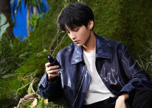 王俊凯娱乐八卦爆料视频,独家视频爆料幕后真相  第3张