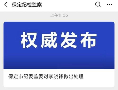 保定最新爆料事件处理结果,官方公布处理结果，真相大白