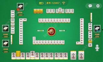 贵州麻将爆料视频大全,爆料视频大全深度解析  第1张