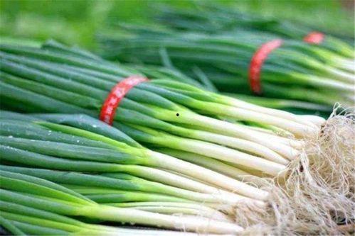 读我心声吃大瓜魏思瑶免费全集,魏思瑶免费全集，揭秘情感纠葛与成长历程