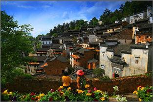 婺源小三最新爆料新闻,最新爆料揭露惊人内幕 第1张 婺源小三最新爆料新闻,最新爆料揭露惊人内幕 第1张